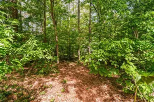 304 Cacique Ct, Woodstock, GA 30188 - Photo 53