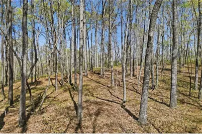 3102 Flatbottom Road, Ball Ground, GA 30107 - Photo 11