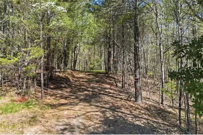 3102 Flatbottom Road, Ball Ground, GA 30107 - Photo 5