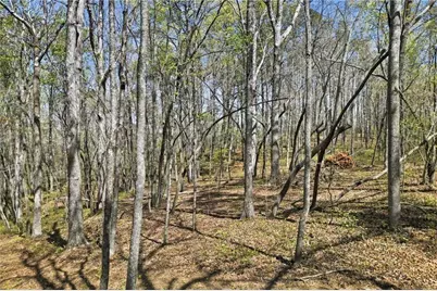 3102 Flatbottom Road, Ball Ground, GA 30107 - Photo 7