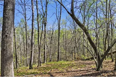 3094 Flatbottom Road, Ball Ground, GA 30107 - Photo 13