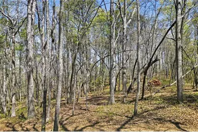 3094 Flatbottom Road, Ball Ground, GA 30107 - Photo 9