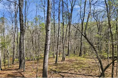 3094 Flatbottom Road, Ball Ground, GA 30107 - Photo 7
