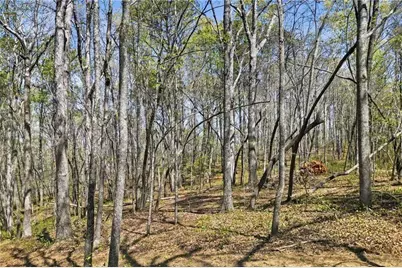 109 Heritage Plantation Drive, Ball Ground, GA 30107 - Photo 7