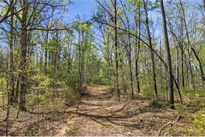 121 Heritage Plantation Drive, Ball Ground, GA 30107 - Photo 13
