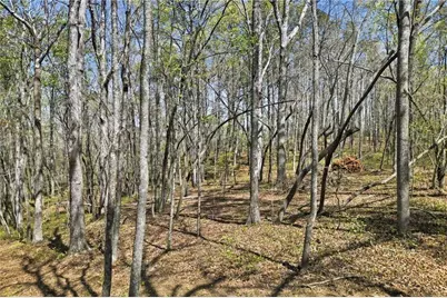 129 Heritage Plantation Drive, Ball Ground, GA 30107 - Photo 1