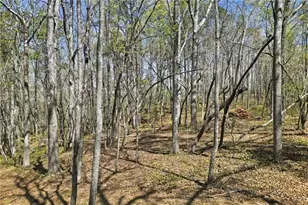 129 Heritage Plantation Dr, Ball Ground, GA 30107 - Photo 1