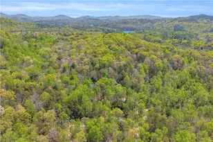 294 Brookwood Ln, Clarkesville, GA 30523 - Photo 59