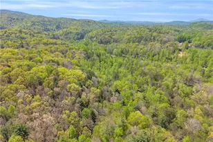 294 Brookwood Ln, Clarkesville, GA 30523 - Photo 63