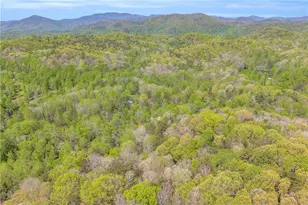 294 Brookwood Ln, Clarkesville, GA 30523 - Photo 61