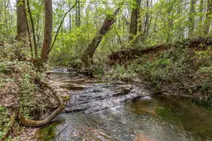 7350 Ono Rd, Palmetto, GA 30268 - Photo 73