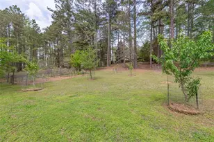 7350 Ono Rd, Palmetto, GA 30268 - Photo 85