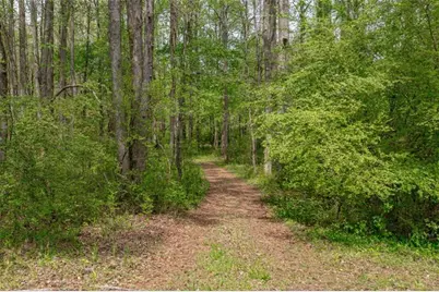7350 Ono Road, Palmetto, GA 30268 - Photo 75