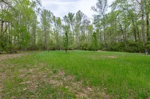 7350 Ono Rd, Palmetto, GA 30268 - Photo 77