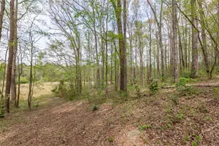 7350 Ono Rd, Palmetto, GA 30268 - Photo 83
