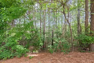 138 Bellehaven, Woodstock, GA 30188 - Photo 33