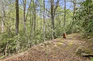 257 Foot Hills Dr, Cleveland, GA 30528 - Photo 61