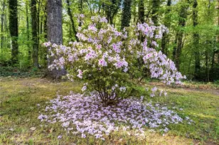 5730 Goldfield Dr, Acworth, GA 30102 - Photo 51