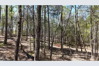 1600 Sperin Road, Ball Ground, GA 30107 - Photo 37