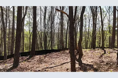 1600 Sperin Road, Ball Ground, GA 30107 - Photo 41