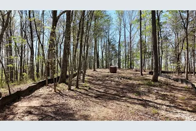 1600 Sperin Road, Ball Ground, GA 30107 - Photo 53