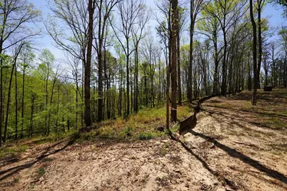 1600 Sperin Road, Ball Ground, GA 30107 - Photo 15
