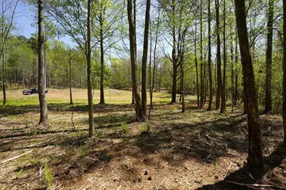 1600 Sperin Road, Ball Ground, GA 30107 - Photo 9