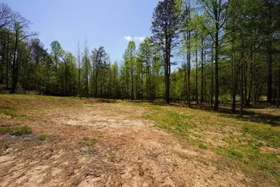 1600 Sperin Road, Ball Ground, GA 30107 - Photo 13