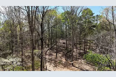 1600 Sperin Road, Ball Ground, GA 30107 - Photo 63