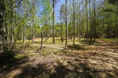 1600 Sperin Road, Ball Ground, GA 30107 - Photo 5