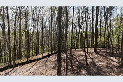 1600 Sperin Road, Ball Ground, GA 30107 - Photo 47