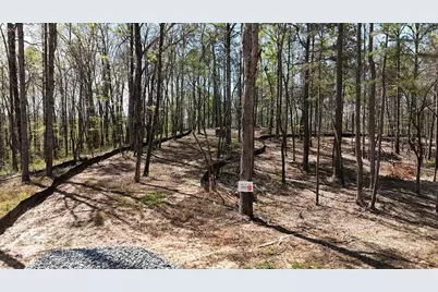 1600 Sperin Road, Ball Ground, GA 30107 - Photo 65