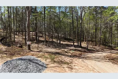 1600 Sperin Road, Ball Ground, GA 30107 - Photo 61