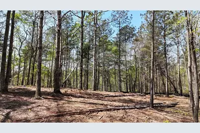 1600 Sperin Road, Ball Ground, GA 30107 - Photo 51
