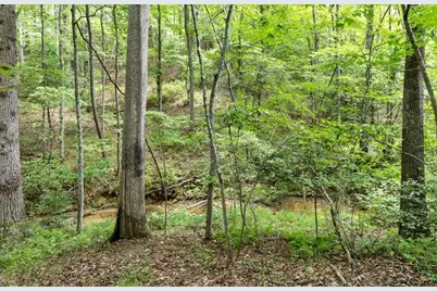 120 Brookhaven Trail, Blue Ridge, GA 30513 - Photo 89