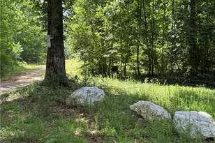 20 Ac Ellijay Rd, Talking Rock, GA 30175 - Photo 1