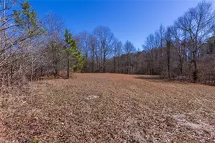 605 Rowe Rd, Senoia, GA 30276 - Photo 83
