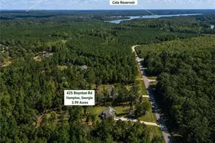 425 Boynton Rd, Hampton, GA 30228 - Photo 3