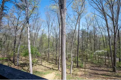 1038 Bluebird Road, Mineral Bluff, GA 30559 - Photo 37