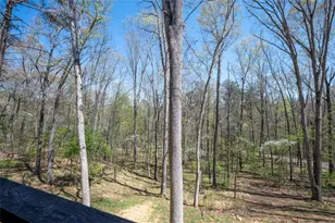 1038 Bluebird Rd, Mineral Bluff, GA 30559 - Photo 37