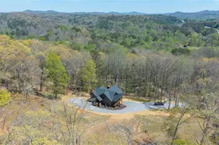1038 Bluebird Rd, Mineral Bluff, GA 30559 - Photo 9