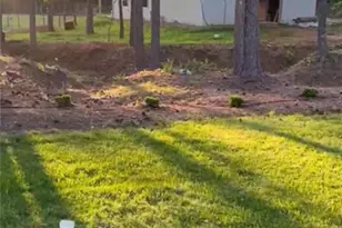 7855 Old Rico Rd, Palmetto, GA 30268 - Photo 29
