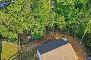 282 Shoals, Dallas, GA 30132 - Photo 27
