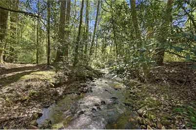 15 Salmon Road, Blairsville, GA 30512 - Photo 39