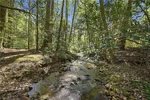 15 Salmon Rd, Blairsville, GA 30512 - Photo 39