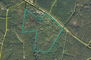 0 Powelton Church Rd, Sparta, GA 31087 - Photo 1