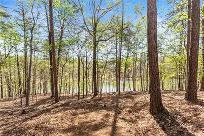 6221 Random Winds Bluff, Gainesville, GA 30506 - Photo 93