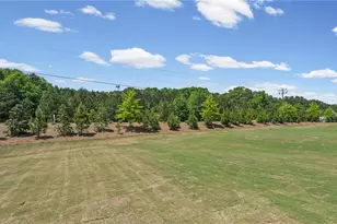256 Nesta Grove, Locust Grove, GA 30248 - Photo 45