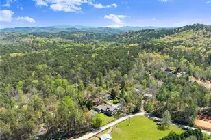 290 Chastain Rd, Sautee Nacoochee, GA 30571 - Photo 63