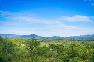 259 Red Bush School Rd, Blue Ridge, GA 30513 - Photo 19